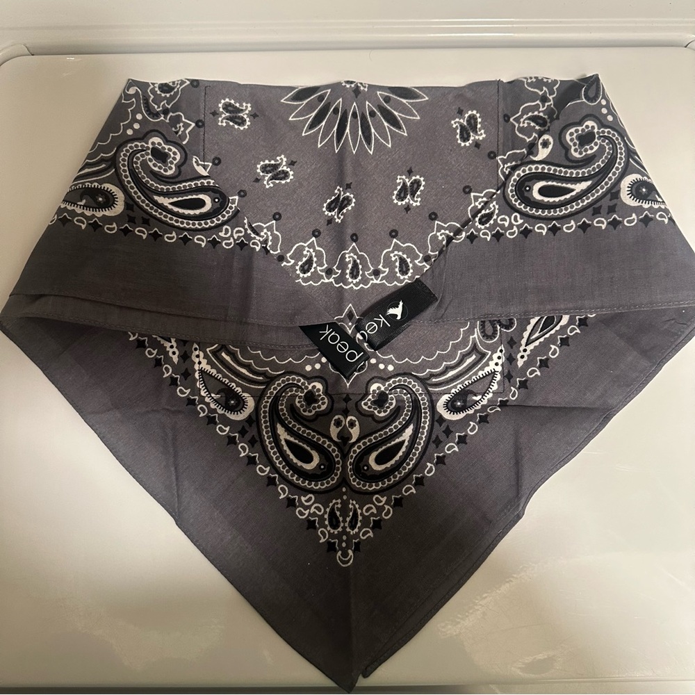 Kea Peak Ice Bandana
